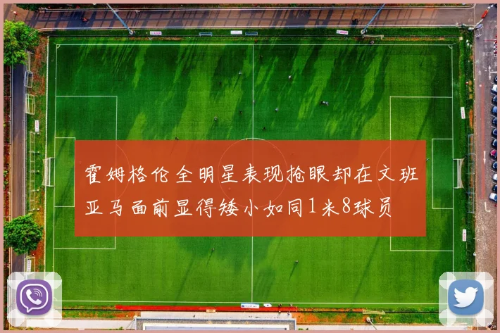 霍姆格伦全明星表现抢眼却在文班亚马面前显得矮小如同1米8球员